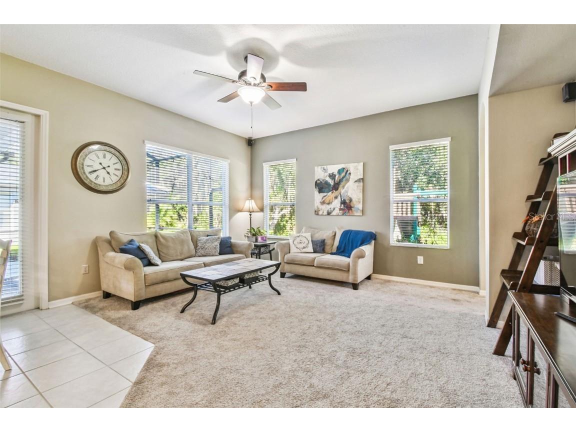 6818 Pine Springs Drive Wesley Chapel FL 33545 TB8438233 image29