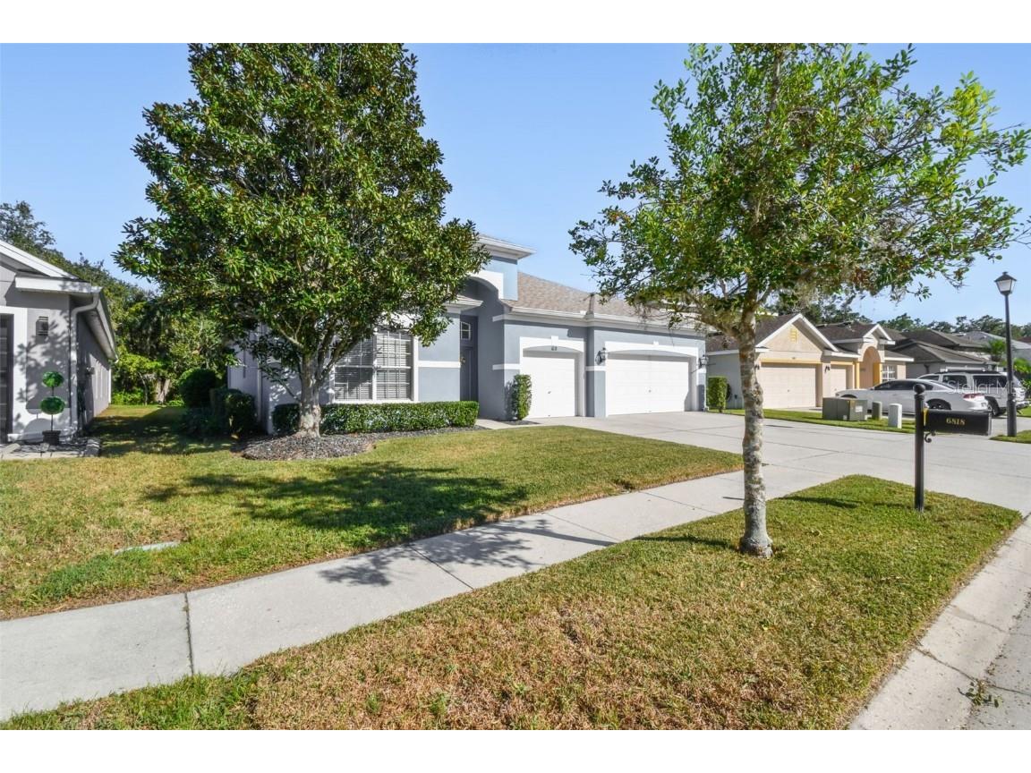 6818 Pine Springs Drive Wesley Chapel FL 33545 TB8438233 image3