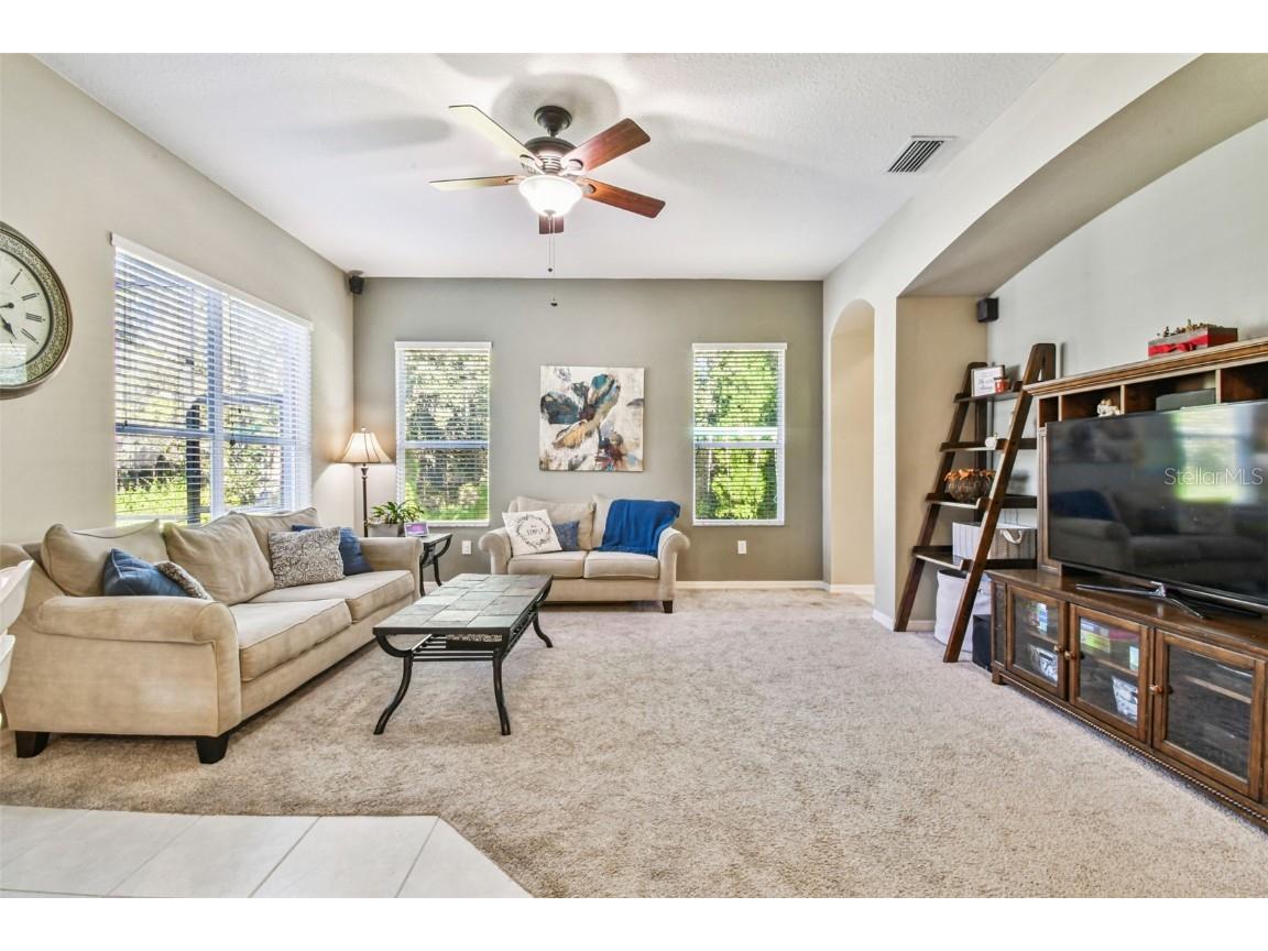 6818 Pine Springs Drive Wesley Chapel FL 33545 TB8438233 image30