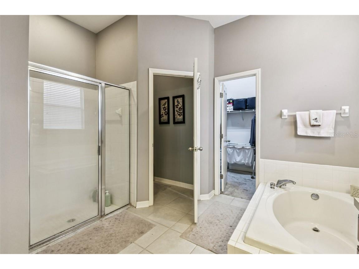 6818 Pine Springs Drive Wesley Chapel FL 33545 TB8438233 image35