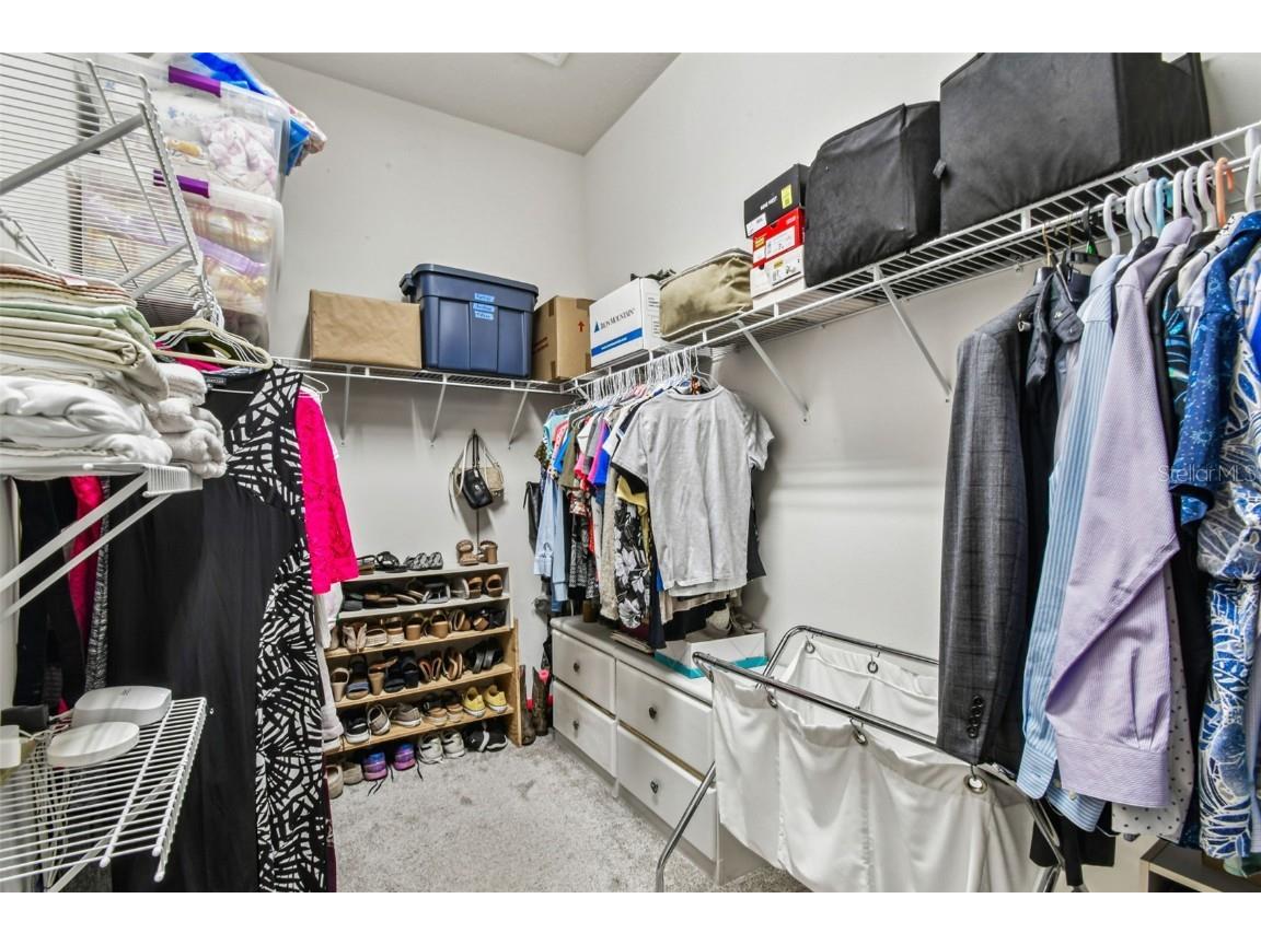 6818 Pine Springs Drive Wesley Chapel FL 33545 TB8438233 image37