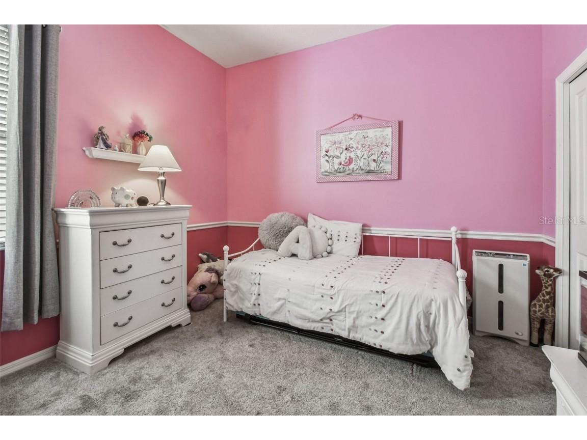 6818 Pine Springs Drive Wesley Chapel FL 33545 TB8438233 image38