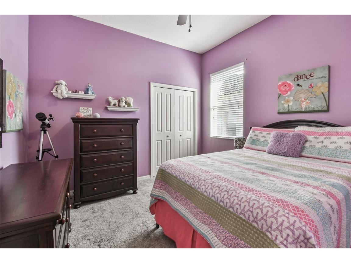 6818 Pine Springs Drive Wesley Chapel FL 33545 TB8438233 image41