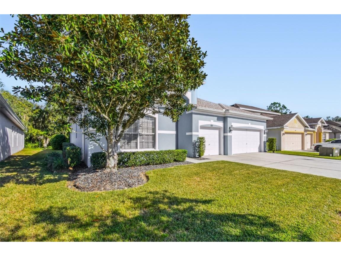 6818 Pine Springs Drive Wesley Chapel FL 33545 TB8438233 image5