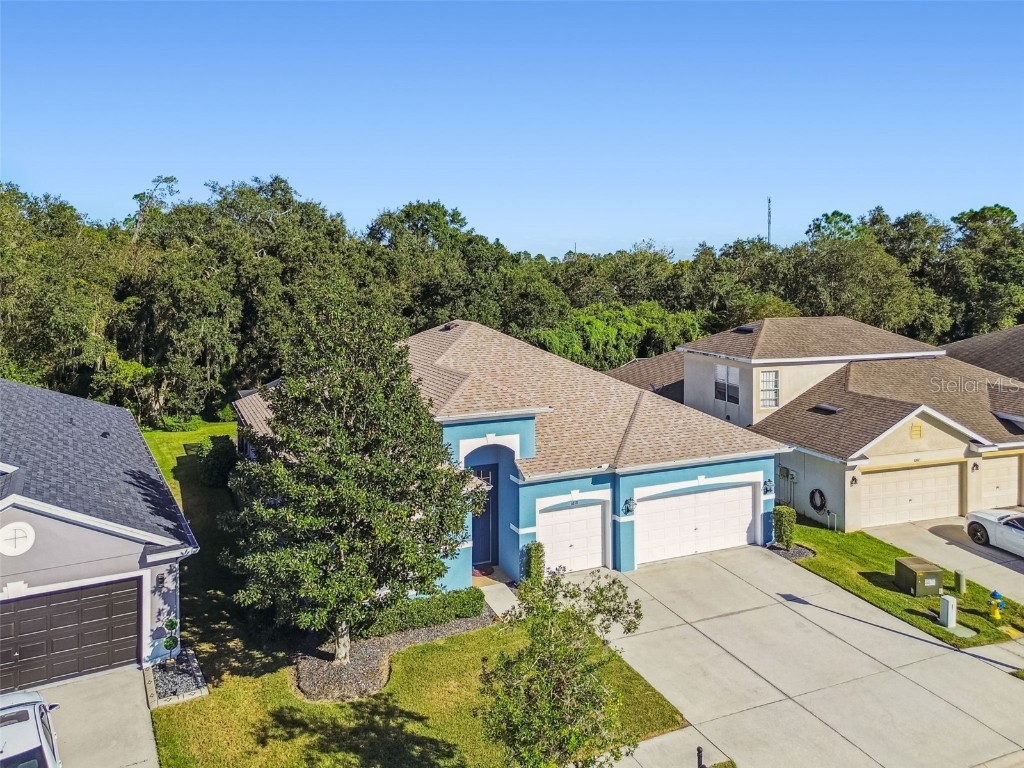 6818 Pine Springs Drive Wesley Chapel FL 33545 TB8438233 image58