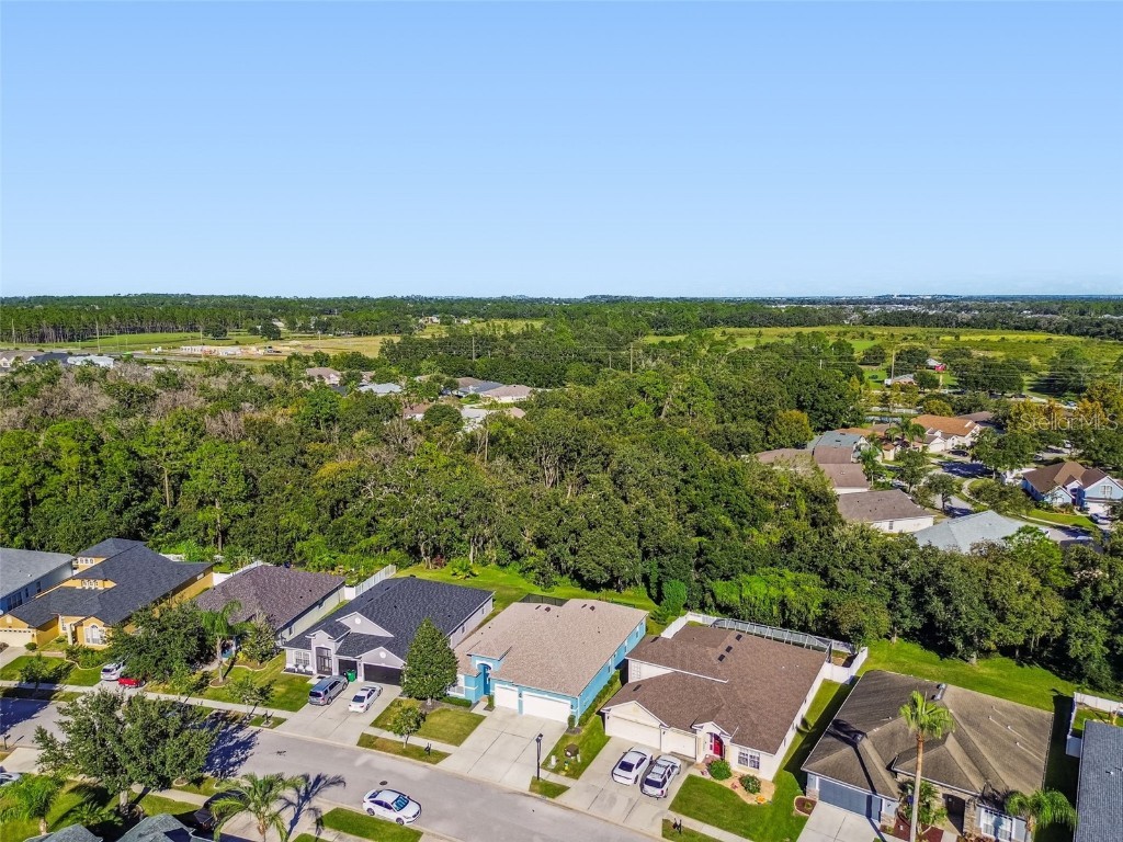 6818 Pine Springs Drive Wesley Chapel FL 33545 TB8438233 image61