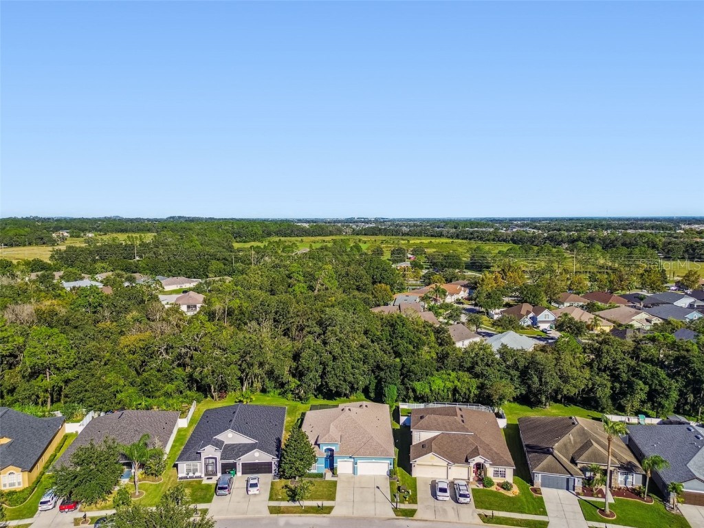 6818 Pine Springs Drive Wesley Chapel FL 33545 TB8438233 image62