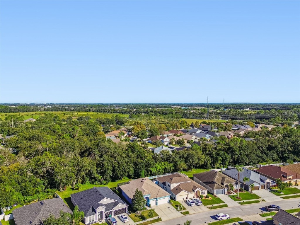 6818 Pine Springs Drive Wesley Chapel FL 33545 TB8438233 image63