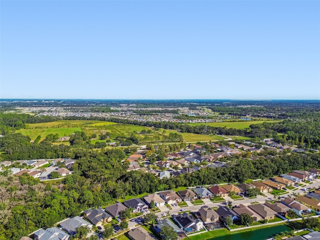 6818 Pine Springs Drive Wesley Chapel FL 33545 TB8438233 image64