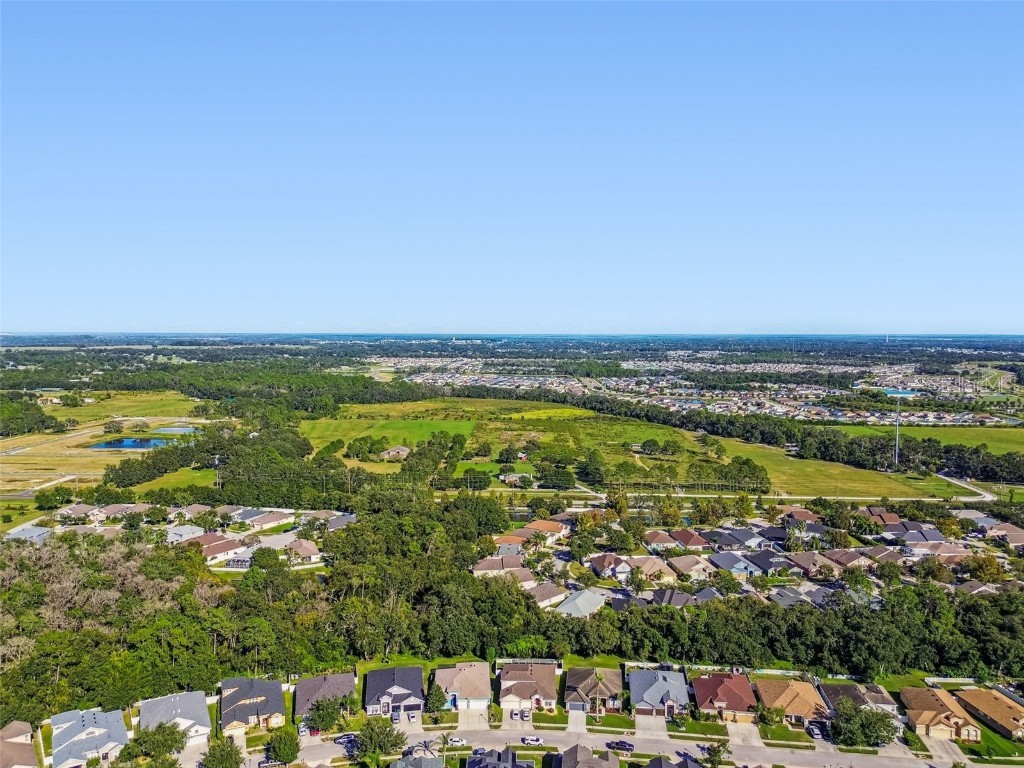 6818 Pine Springs Drive Wesley Chapel FL 33545 TB8438233 image65