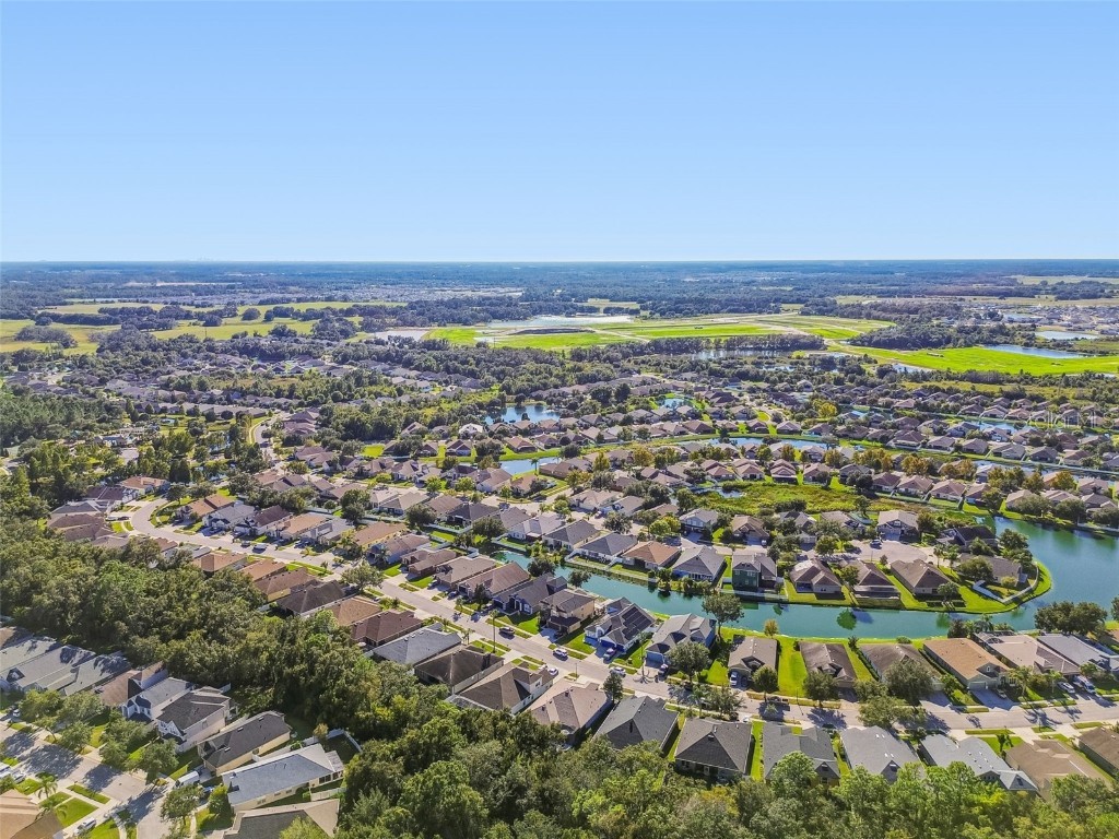 6818 Pine Springs Drive Wesley Chapel FL 33545 TB8438233 image67