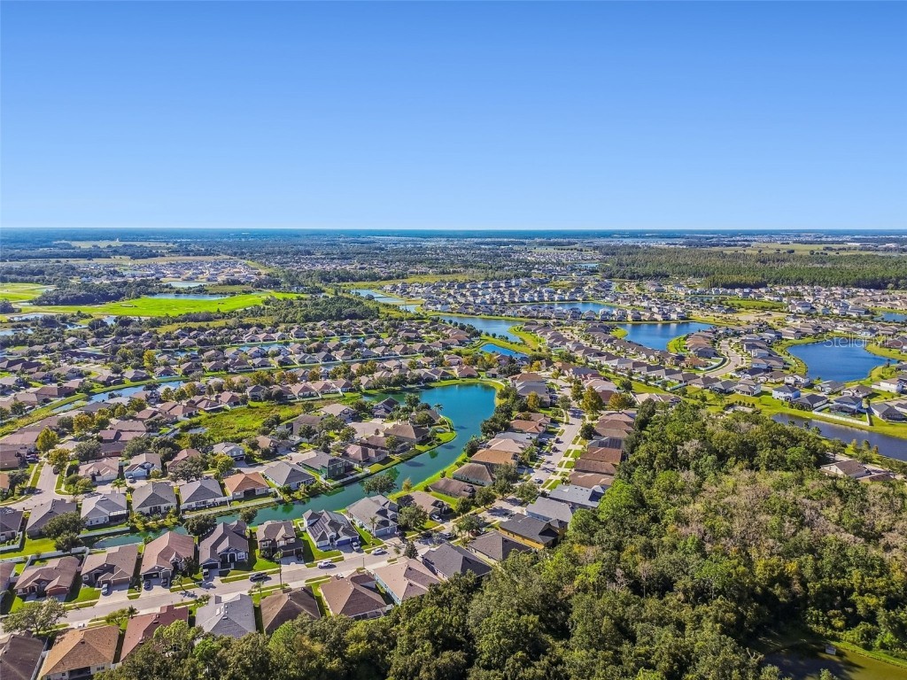 6818 Pine Springs Drive Wesley Chapel FL 33545 TB8438233 image69