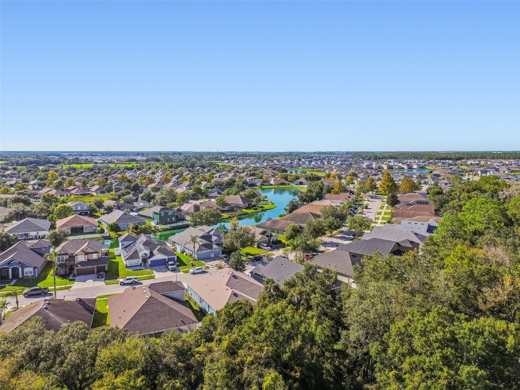 6818 Pine Springs Drive Wesley Chapel FL 33545 TB8438233 image70