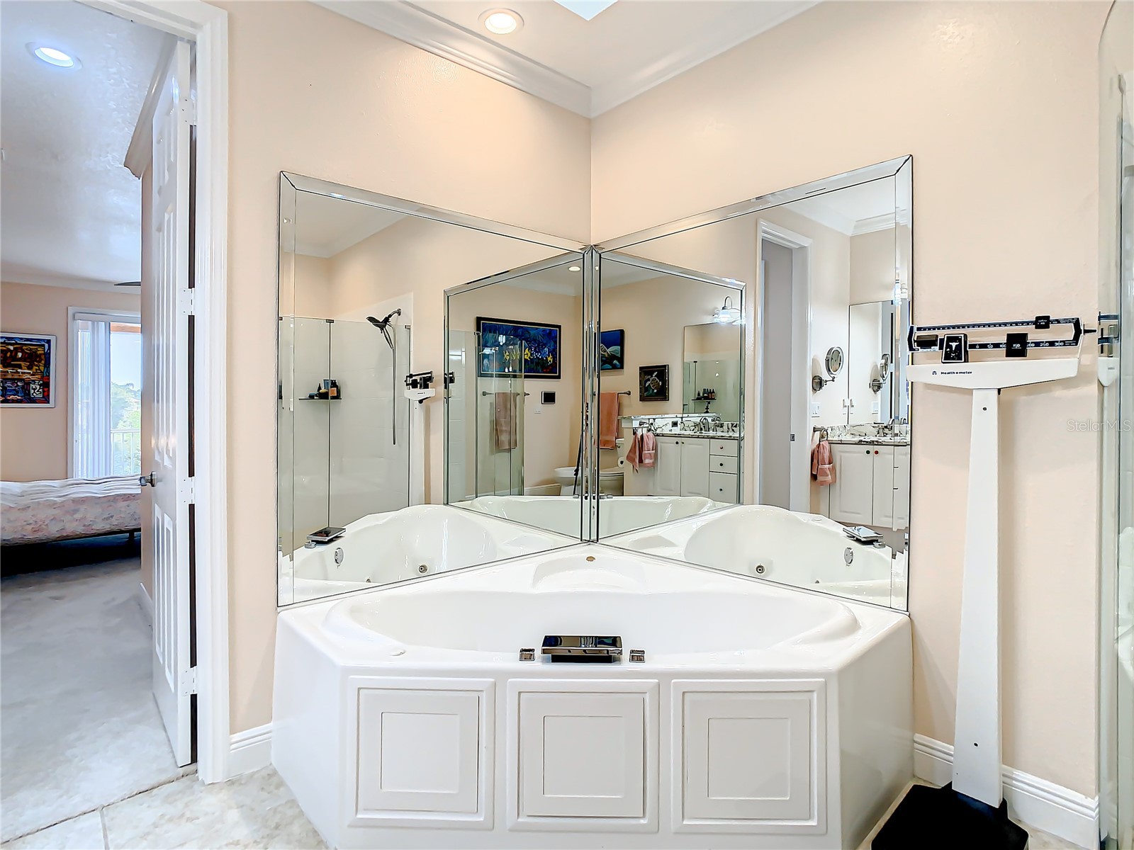 6818 Sombras Way Land O Lakes FL 34637 TB8490524 image52