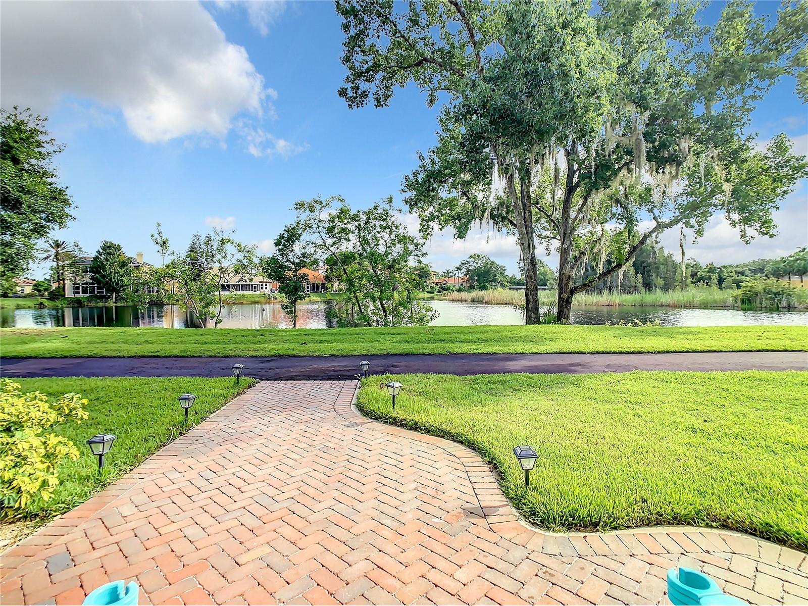 6818 Sombras Way Land O Lakes FL 34637 TB8490524 image71