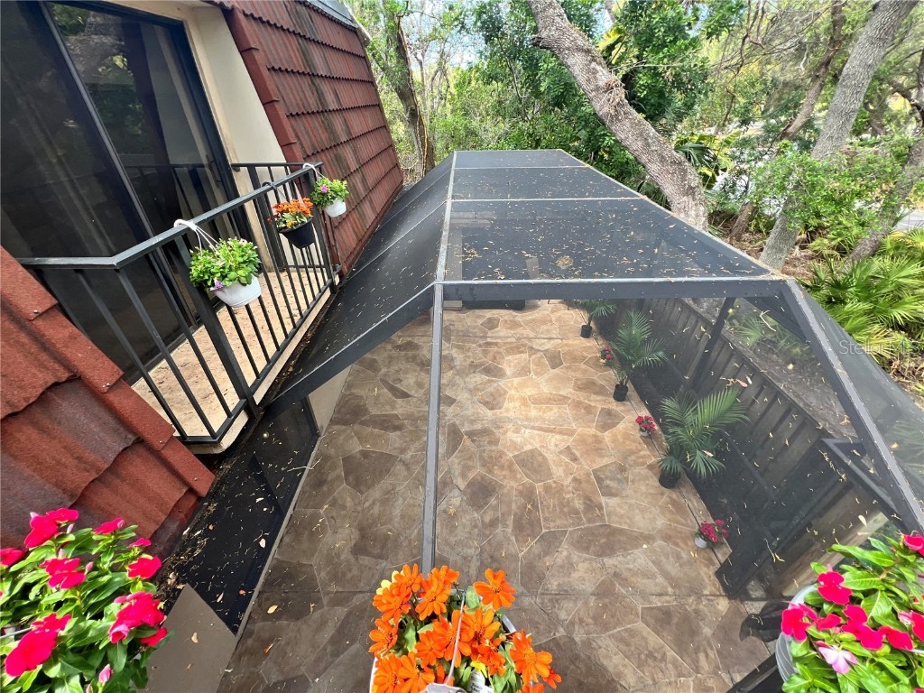 682 1st Court Palm Harbor FL 34684 O6294353 image1