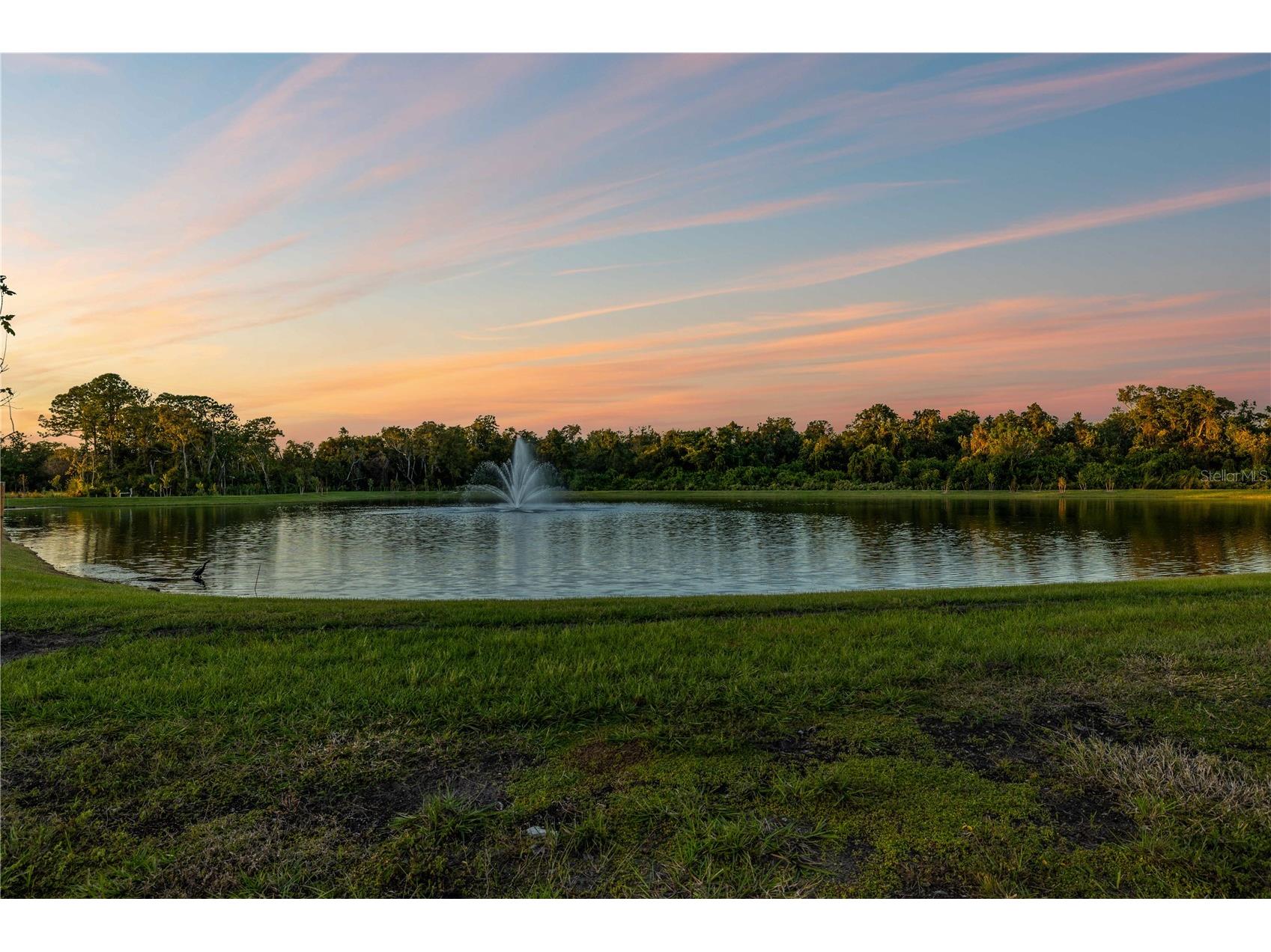 682 Bottlebrush Way Tarpon Springs FL 34688 TB8525608 image8