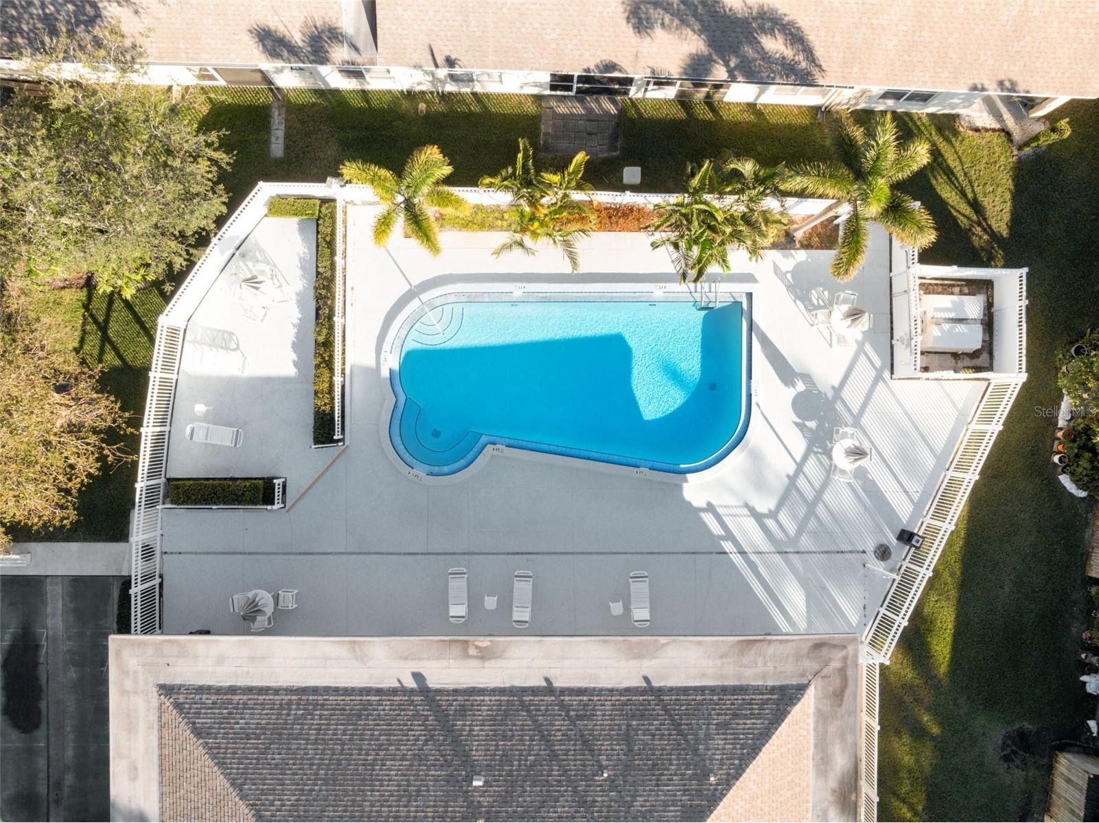 682 Green Valley Road #C2 Palm Harbor FL 34683 TB8501013 image15