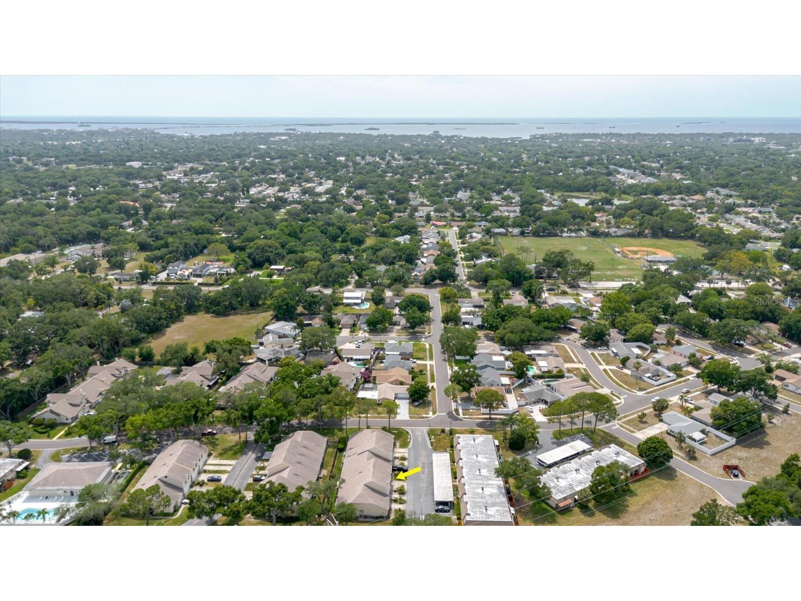 682 Green Valley Road #C3 Palm Harbor FL 34683 TB8504858 image2