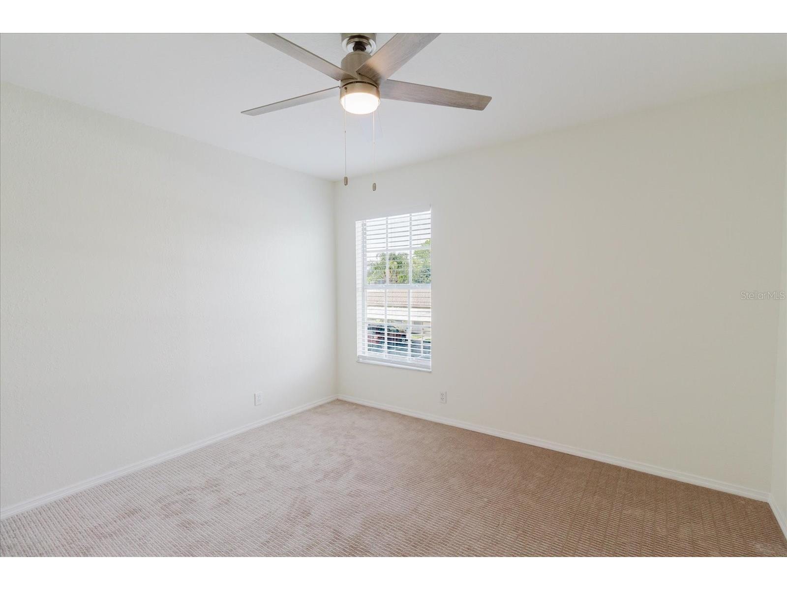 682 Green Valley Road #C3 Palm Harbor FL 34683 TB8504858 image28