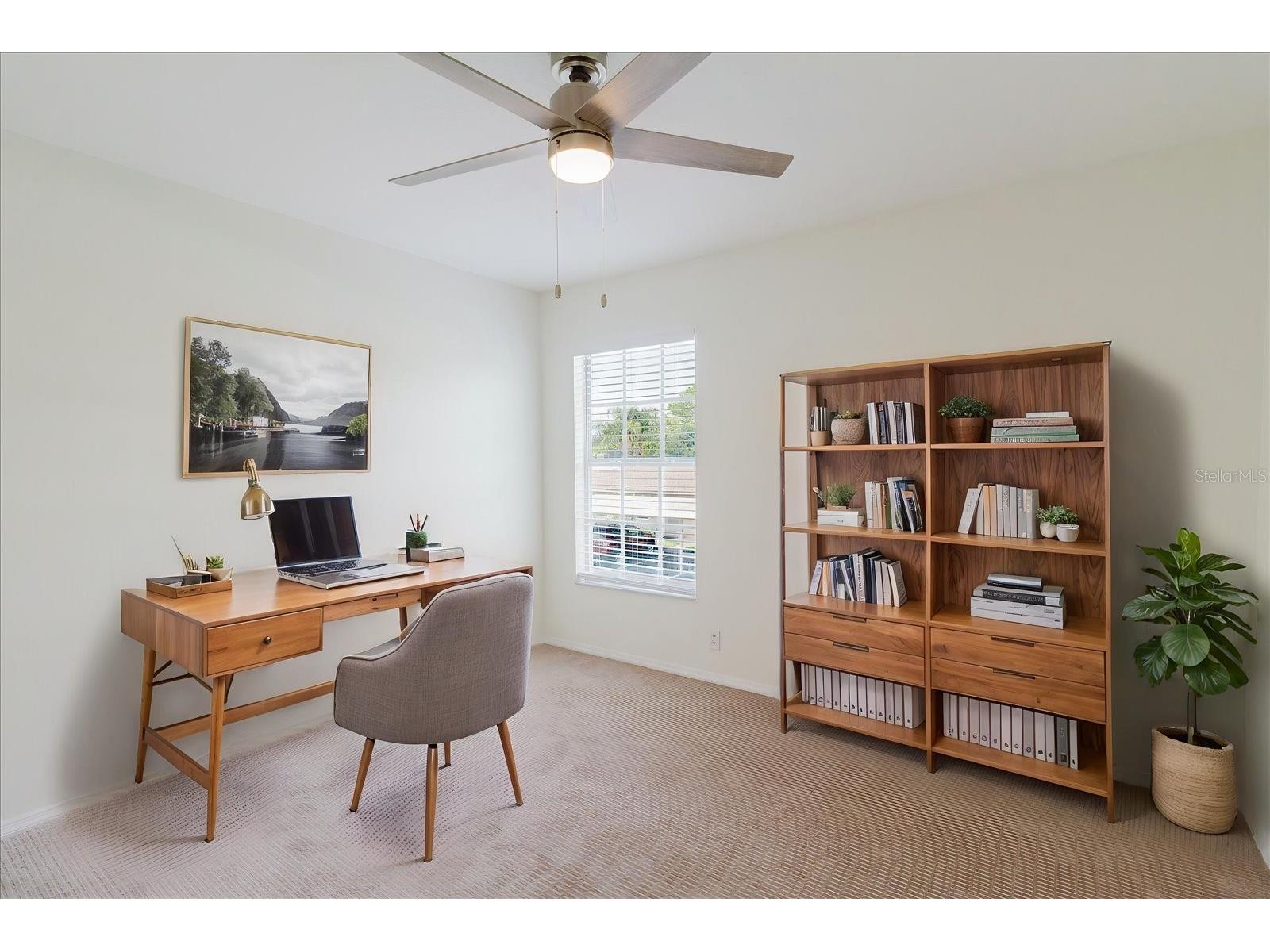 682 Green Valley Road #C3 Palm Harbor FL 34683 TB8504858 image29