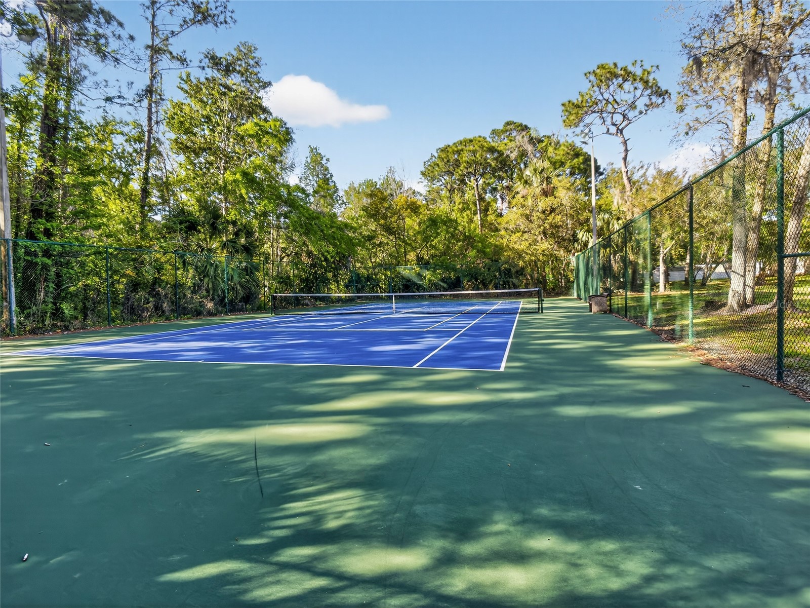 682 Youngstown Parkway #334 Altamonte Springs FL 32714 O6391309 image28