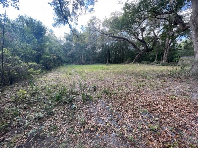 6820 SE 145th Place Summerfield FL 34491 OM653875 image1
