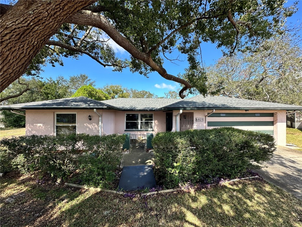 6823 Bottle Brush Drive Port Richey FL 34668 TB8326375 image1
