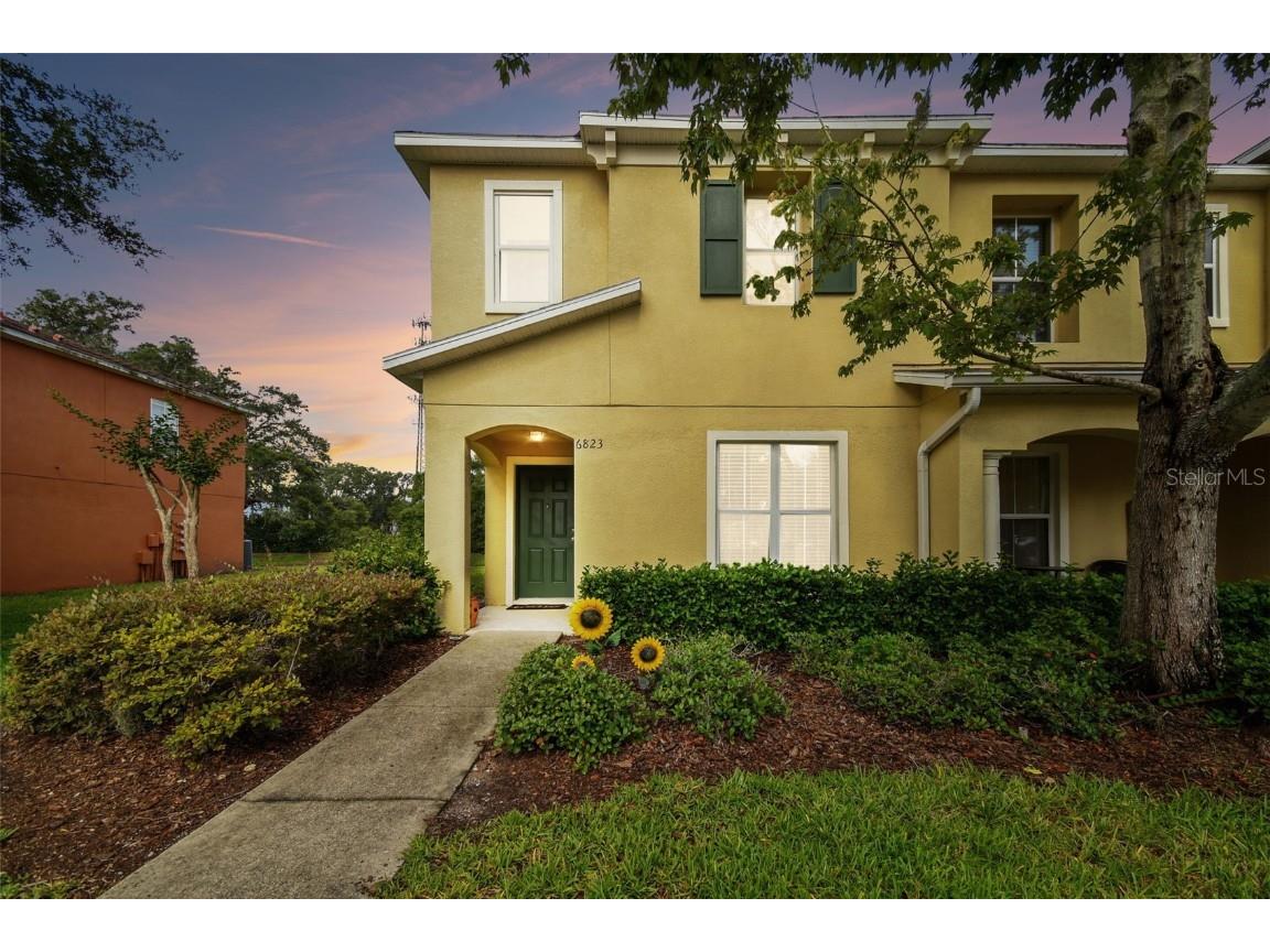 6823 Dartmouth Hill Street Riverview FL 33578 T3449934 image1