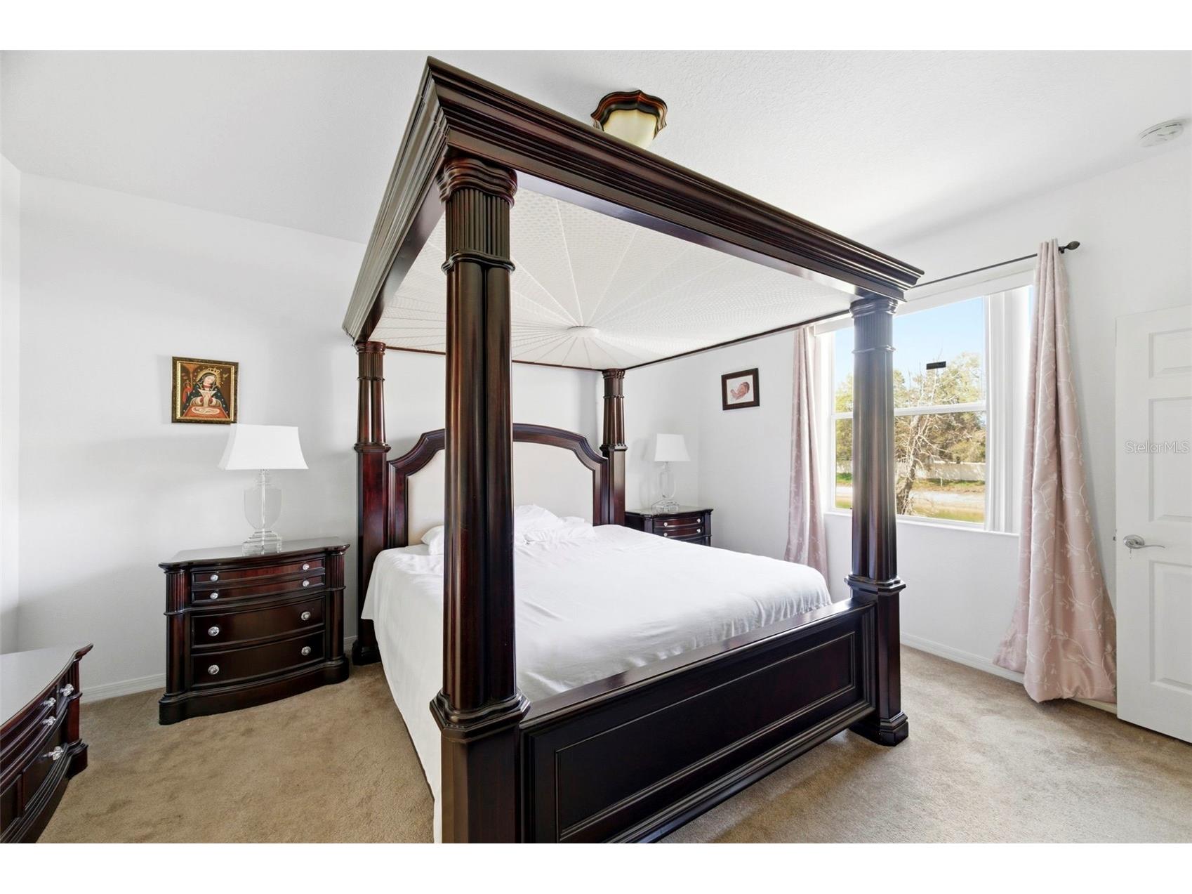 6823 Green Heron Drive Wesley Chapel FL 33545 TB8486628 image34