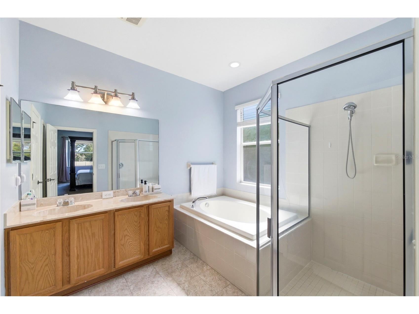 6823 Green Heron Drive Wesley Chapel FL 33545 TB8486628 image36