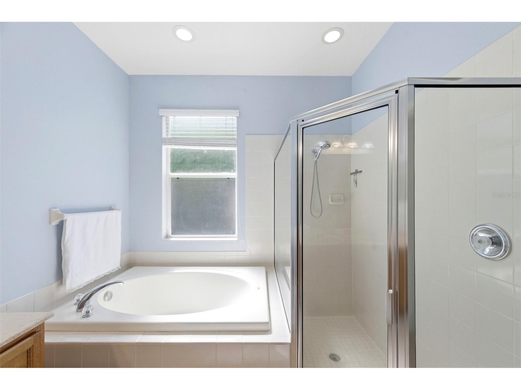 6823 Green Heron Drive Wesley Chapel FL 33545 TB8486628 image37