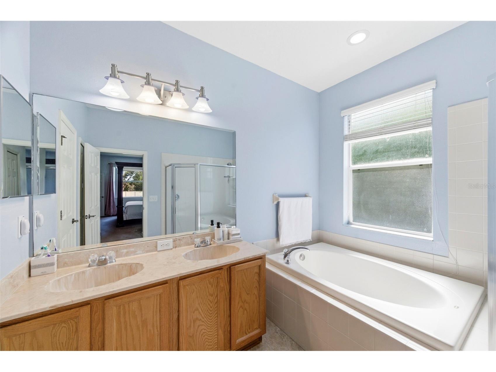 6823 Green Heron Drive Wesley Chapel FL 33545 TB8486628 image38