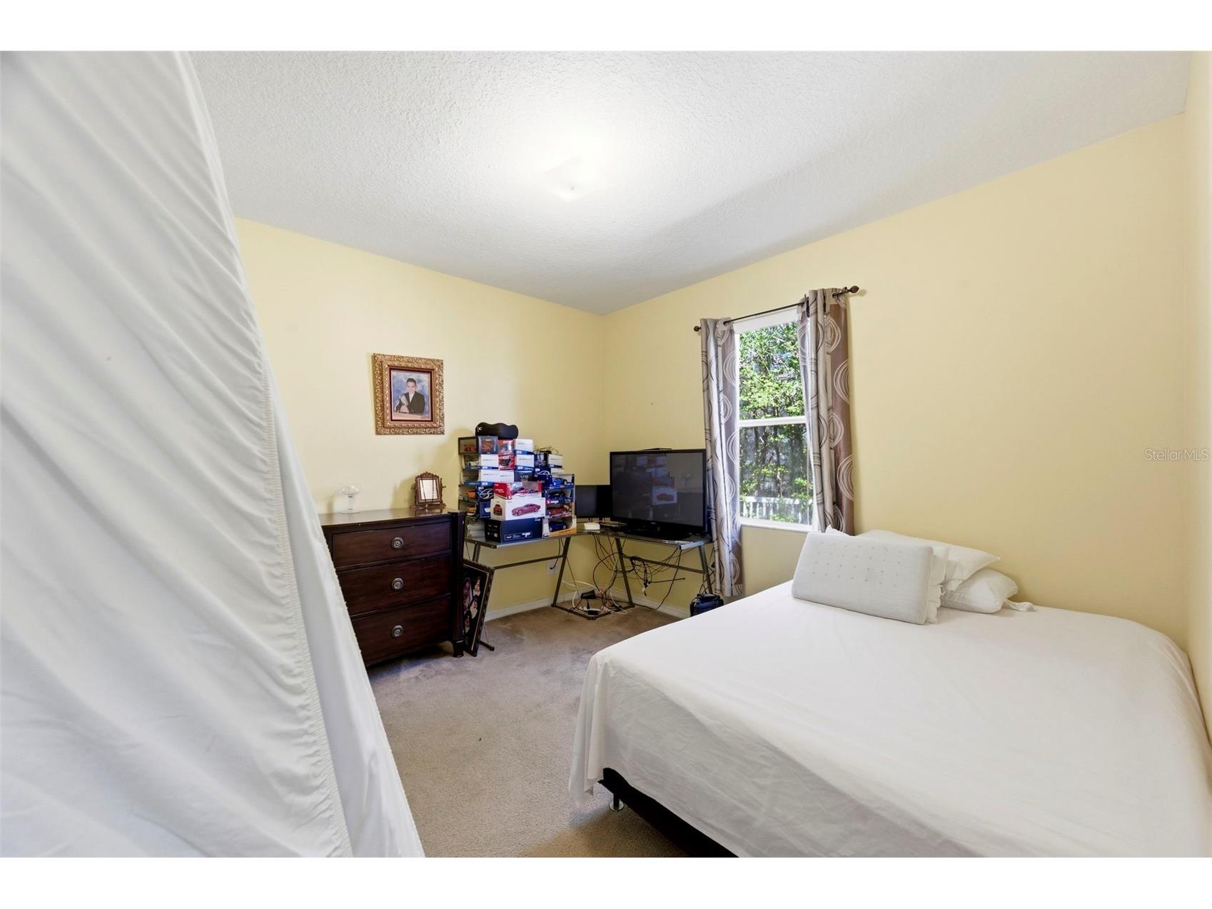 6823 Green Heron Drive Wesley Chapel FL 33545 TB8486628 image48