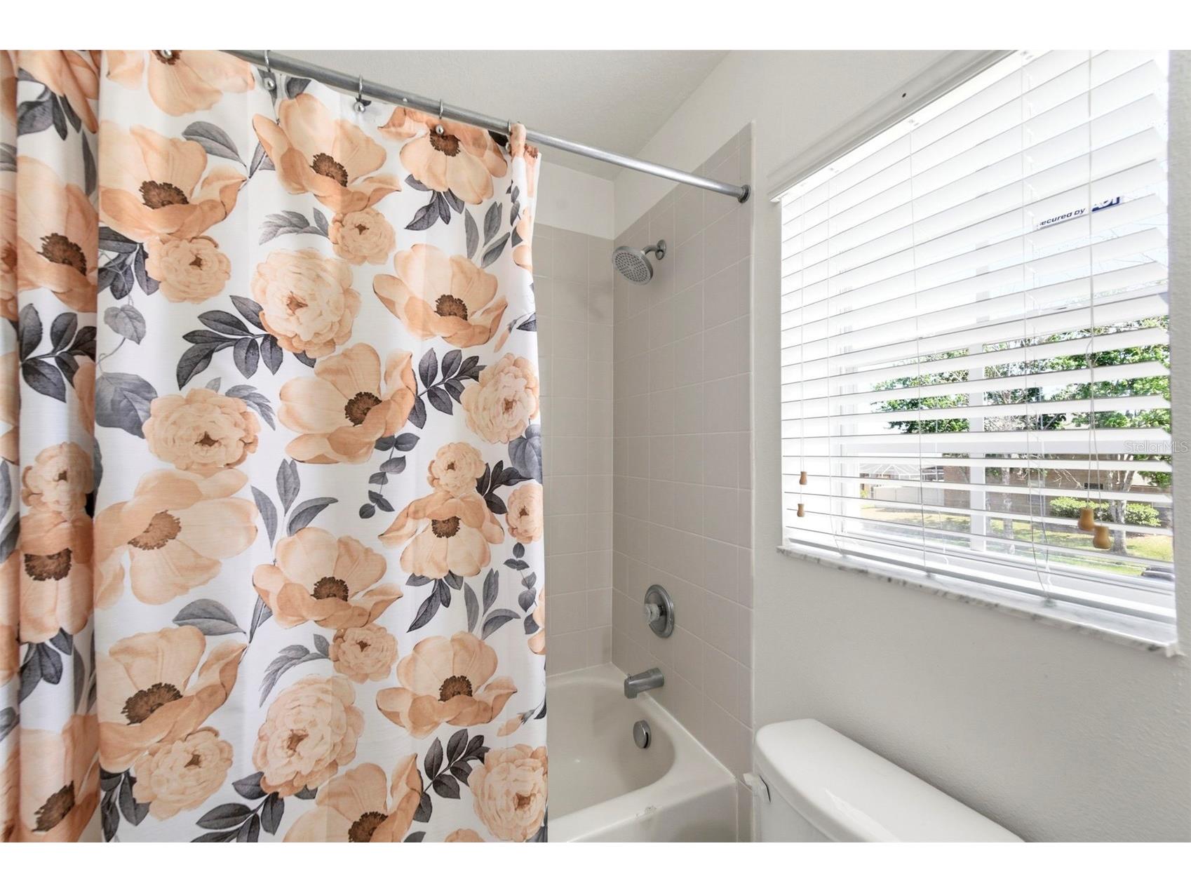 6823 Green Heron Drive Wesley Chapel FL 33545 TB8486628 image62