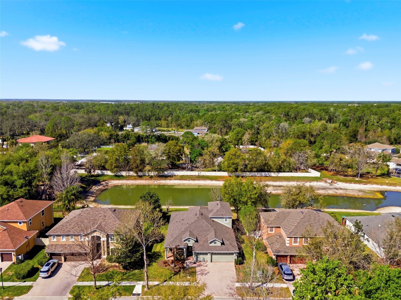 6823 Green Heron Drive Wesley Chapel FL 33545 TB8486628 image74