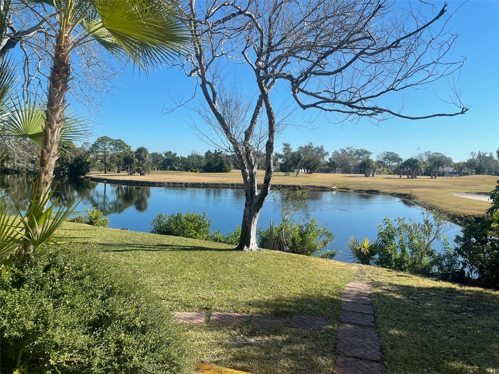 6823 Greenbrier Drive Seminole FL 33777 TB8474504 image1