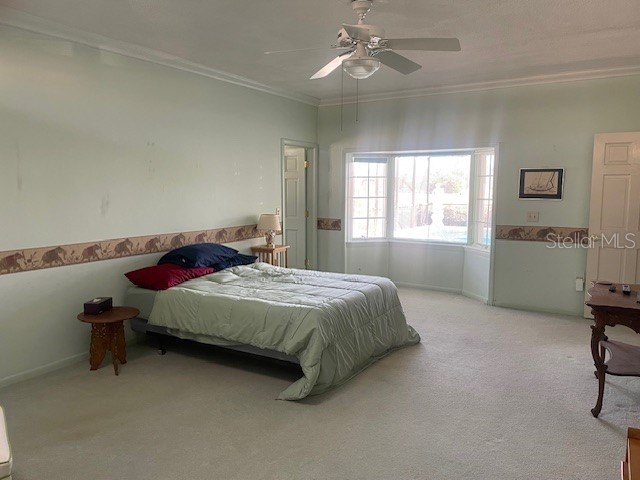 6823 Greenbrier Drive Seminole FL 33777 TB8474504 image19