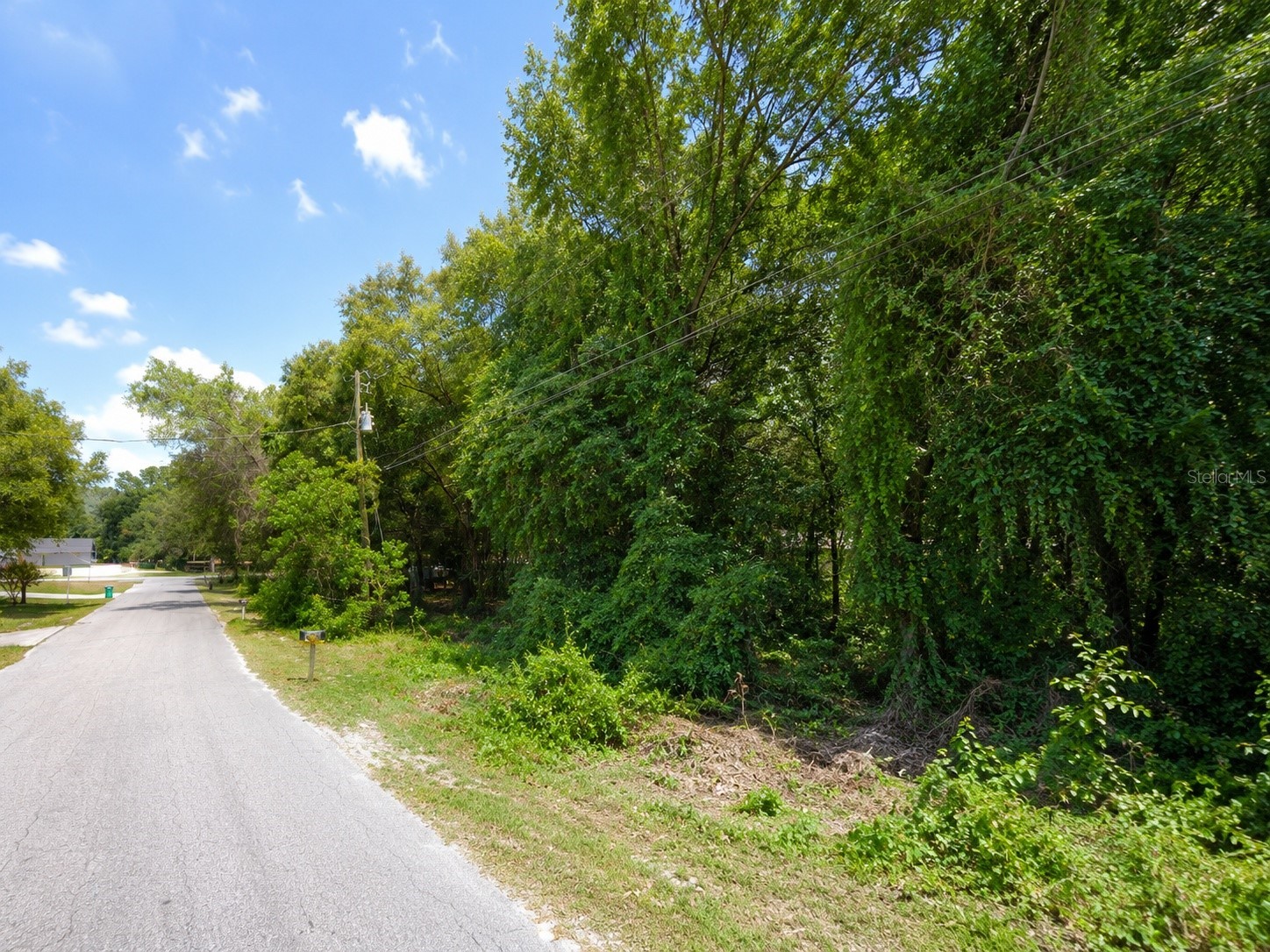 6824 E Falcon Rest Ln Inverness FL 34452 O6408956 image4