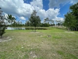 6824 Holly Heath Drive Riverview FL 33578 TB8512251 image17