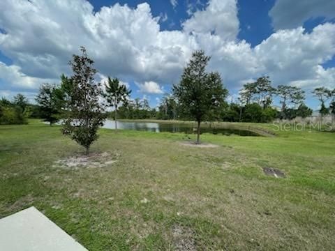 6824 Holly Heath Drive Riverview FL 33578 TB8512251 image18