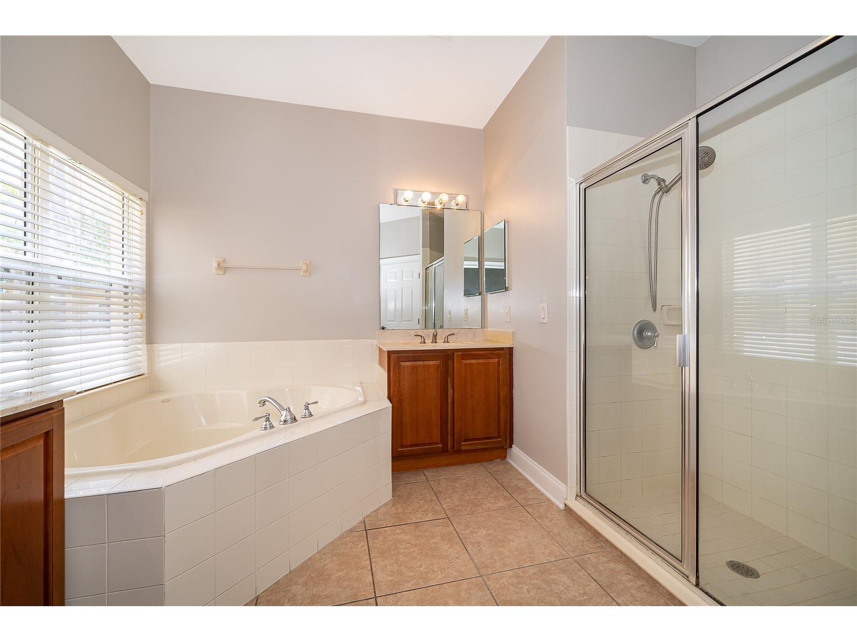 6825 Dolce Street Orlando FL 32819 O6401523 image30