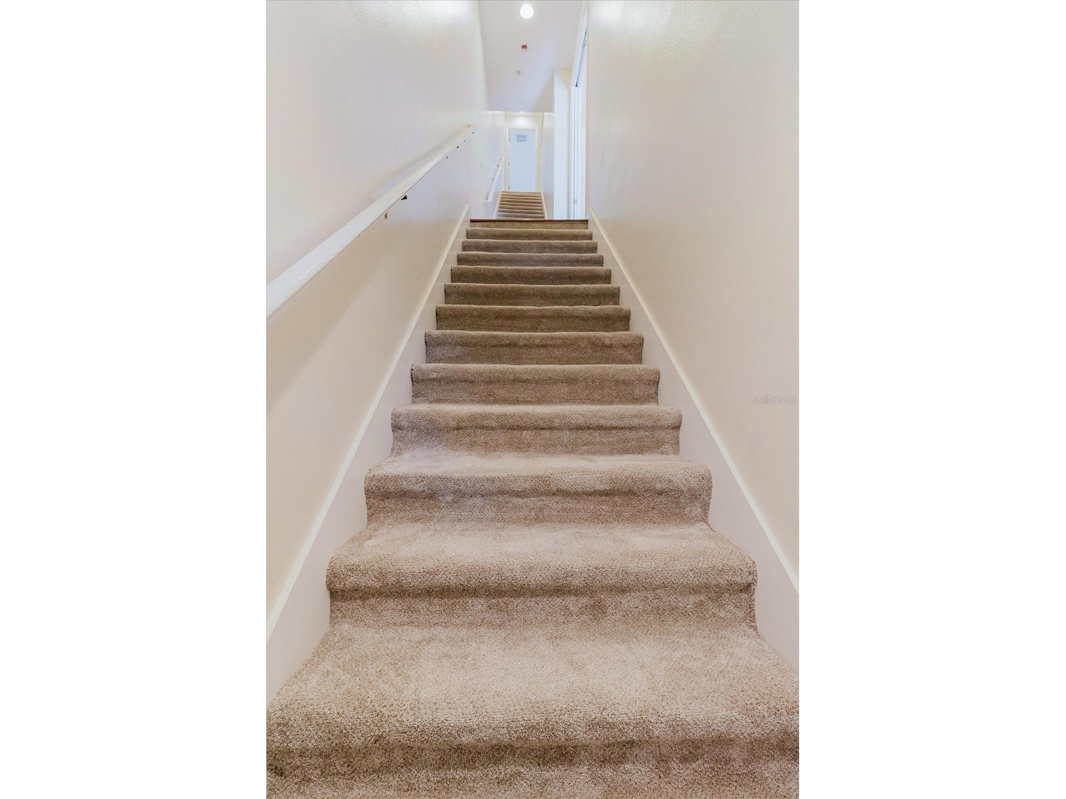 6825 S Kissimmee Street Tampa FL 33616 TB8517635 image2