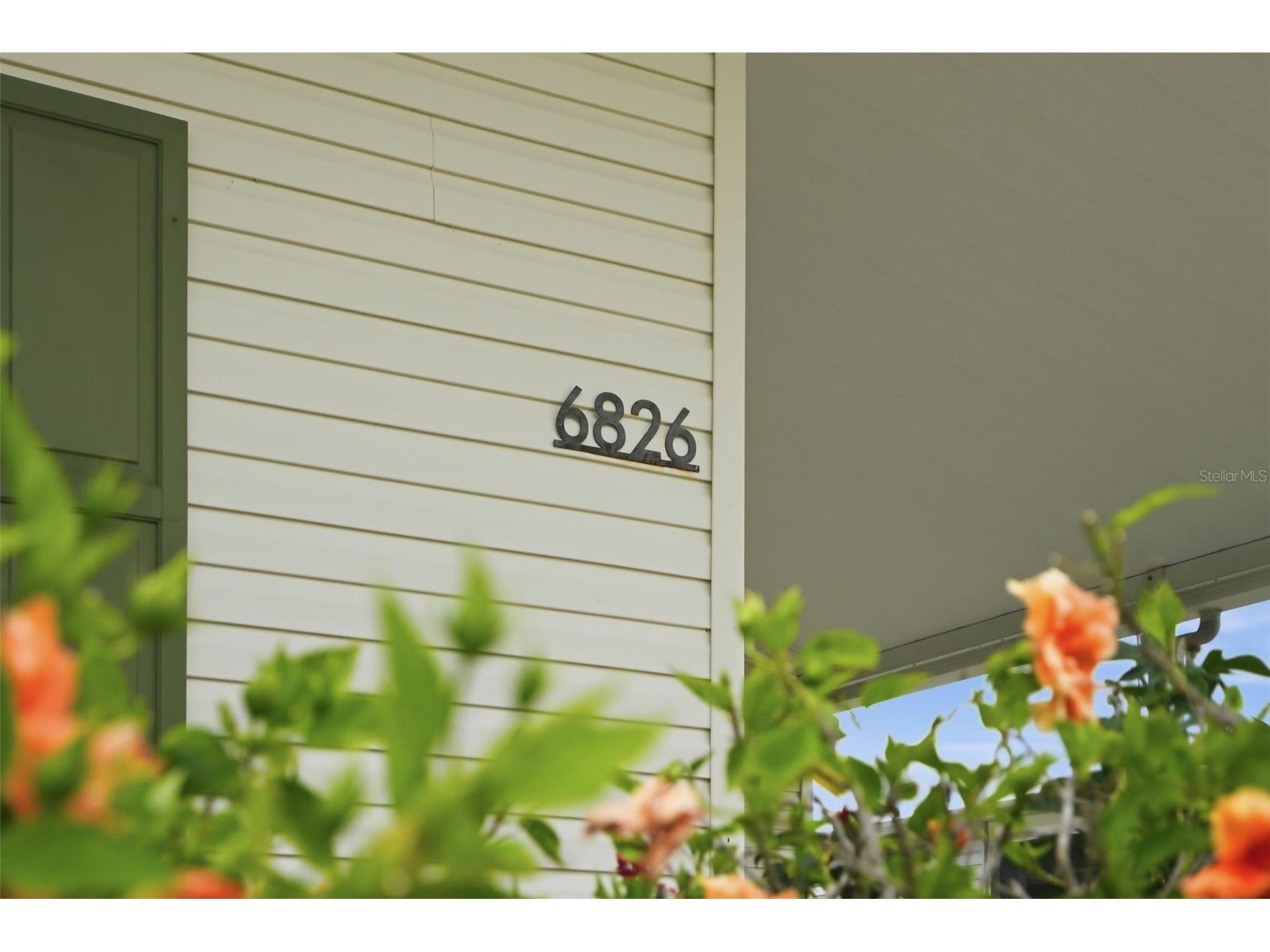 6826 Mount Orange Drive NE #383 Saint Petersburg FL 33702 - TAMPA BAY TB8520165 image33