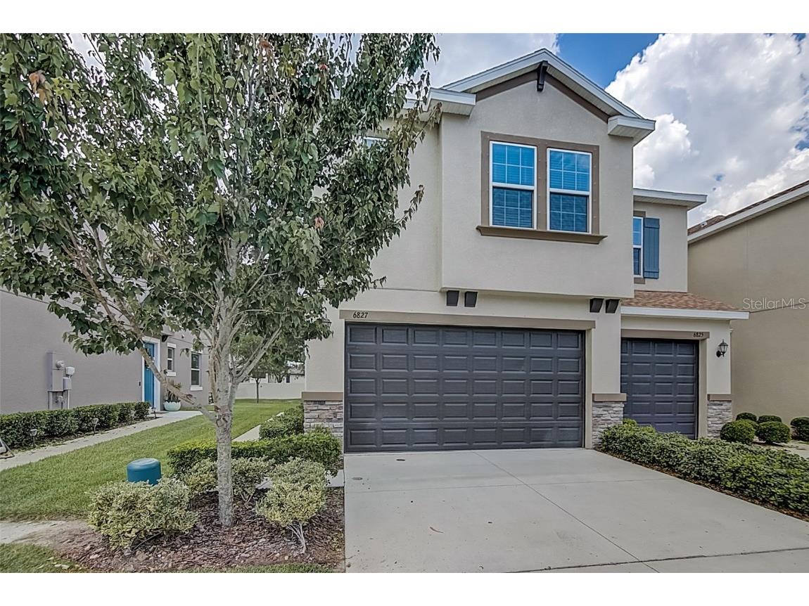 6827 Citrus Creek Lane Tampa FL 33625 T3455799 image1