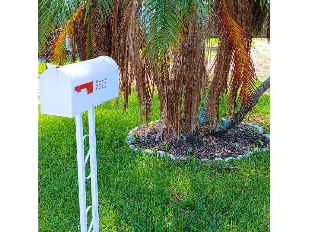 6828 Edgewater Drive New Port Richey FL 34652 W7876340 image2