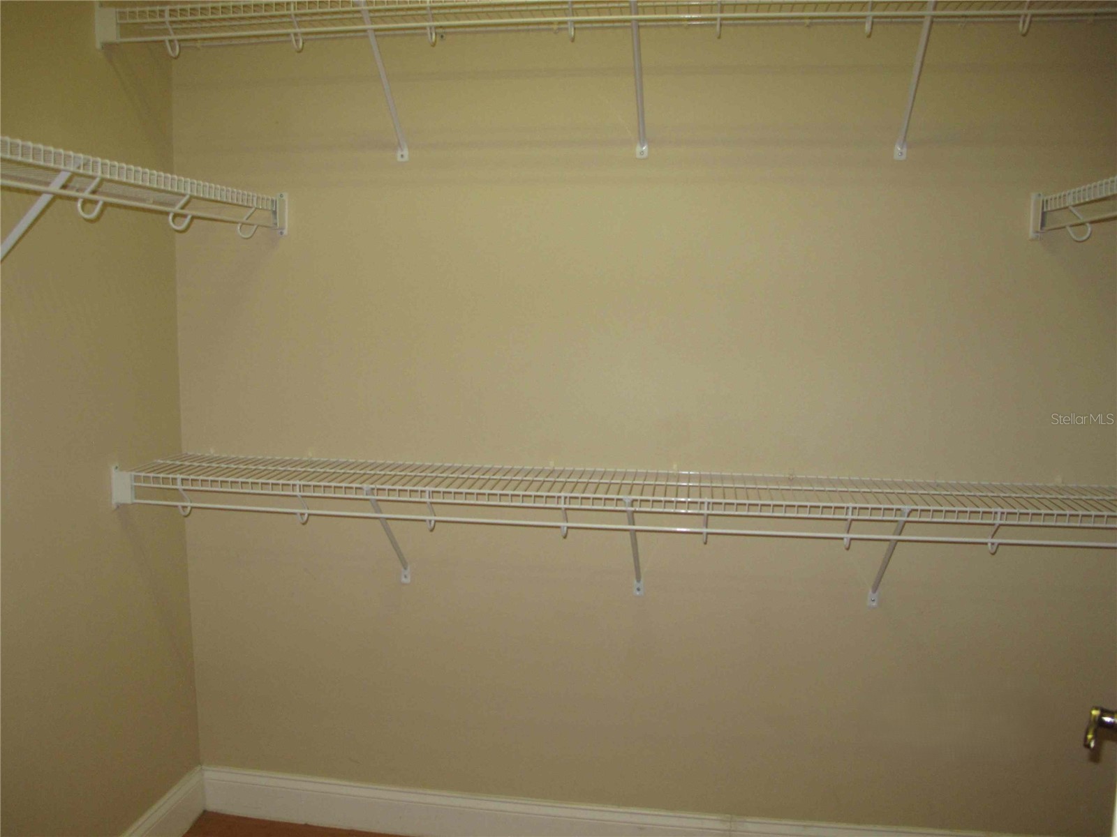 6828 Lucca Street Orlando FL 32819 O6316733 image12