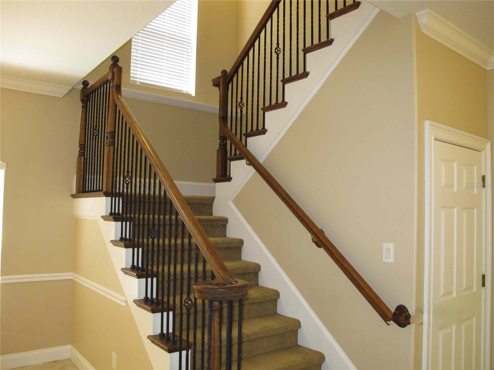 6828 Lucca Street Orlando FL 32819 O6316733 image16