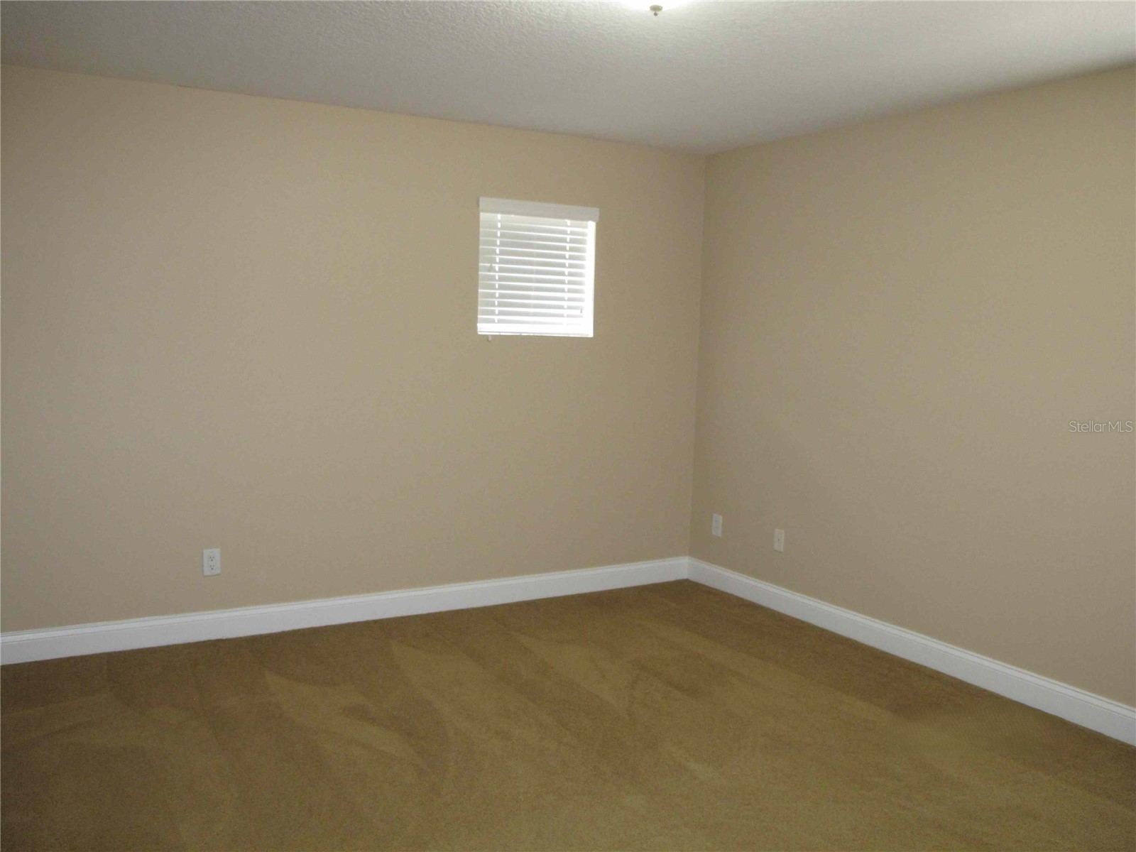 6828 Lucca Street Orlando FL 32819 O6316733 image19