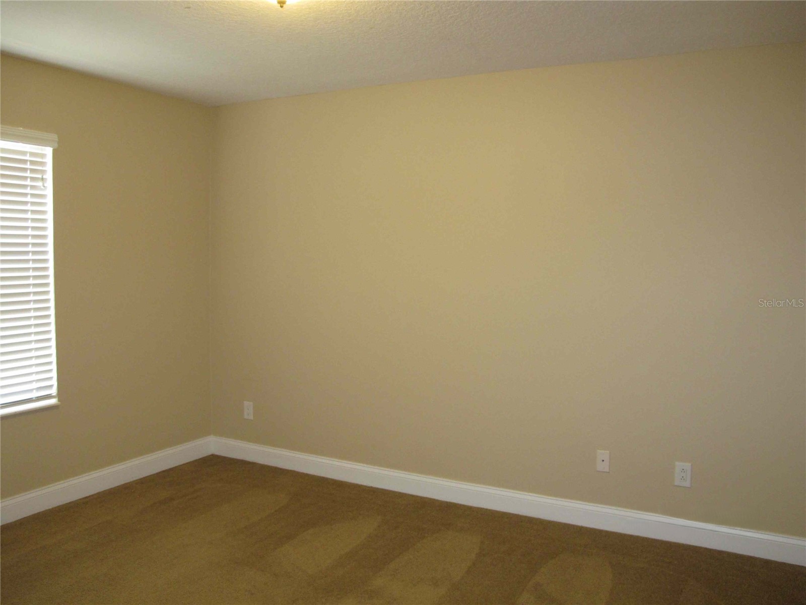 6828 Lucca Street Orlando FL 32819 O6316733 image24